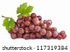 fermentation of grapes