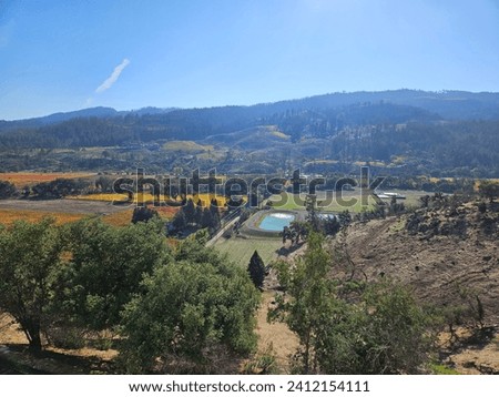 Grape fields forming different colors outside of Sterling Vineyard in Napa Valley California