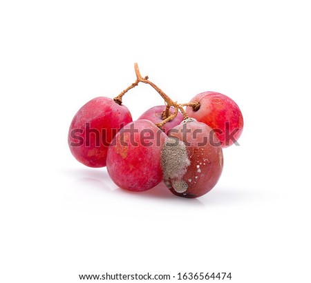 Grape ,fruit rotten on white background.