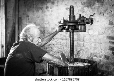Grape harvest: old winemaker farmer working on a vintage wine press. Black and white picture 