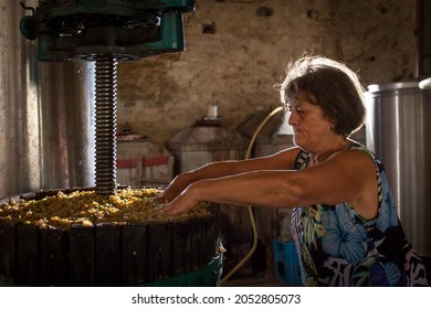 Récolte de raisins: vieille femme vérifie avec ses mains le moût pris dans une presse à vins. 