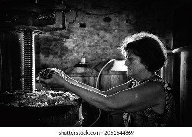 Grape harvest: old woman , keep in his hands must taken from a winepress. Black and white picture