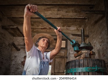 Récolte de raisins: Vieille femme vigneronne travaillant sur un pressoir traditionnel pour le pressage du moût. Arrière-plan vieux vin