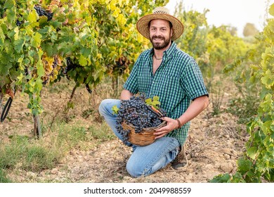 2,690 Sicily farmer Images, Stock Photos & Vectors | Shutterstock