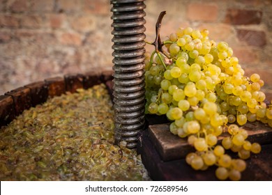 Récolte de raisins: Presse à vin avec moût blanc et grappe de raisins