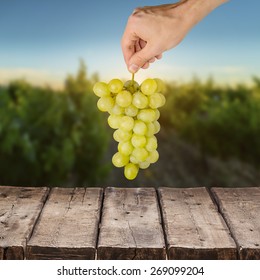 Grape, Human Hand, Fruit.