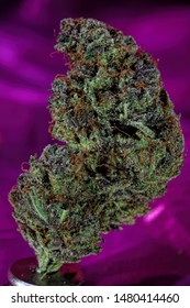 Grape Kool Aid Strain Medicinal Cannabis