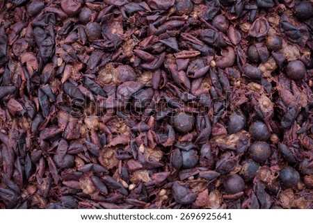 Grape Marc or Pomace Background. Solid Remains. Skins, Pulp, and Seeds. Wine Making Process. Design background.