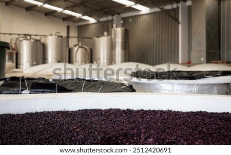 Grape processing wine making industrial vats red black grapes piles horizontal Central Otago New Zealand