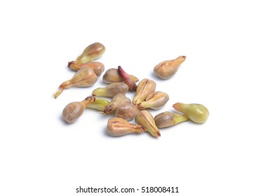 Grape Seed Isolated On White Background