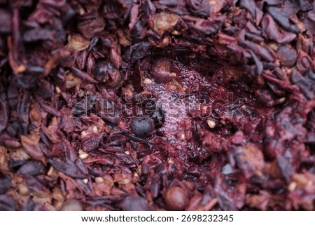 Grape skins and solids. Wine fermentation close up. Punching down the cap for healthy fermentation.