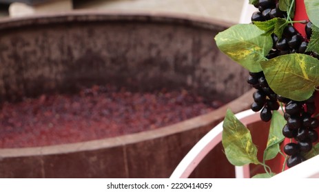 grape stomping for wine preparation