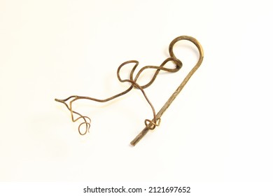 Grape Tendril Stiffened Close-up On A White Background Isolated