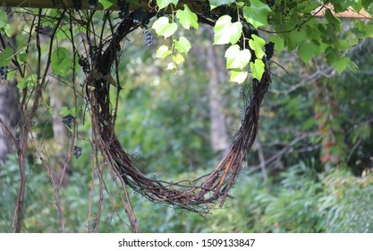 A Grape Vine Wreath Hanging Under A Grape Arbor