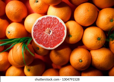 Grapefruit harvest. many grapefruit. grapefruits for food textures and backgrounds. Landscape. grapefruit split in half. Summertime background. Healthy food concept.