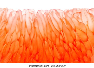 Grapefruit slice peeled, in background light, close-up macro view, red citrus fruit isolated on white background with clipping path - Powered by Shutterstock