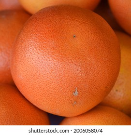 Grapefruit Is A Subtropical Citrus Tree Known For Its Relatively Large, Sour To Semisweet, Somewhat Bitter Fruit.The Interior Flesh Is Segmented And Varies In Color From Pale Yellow To Dark Pink