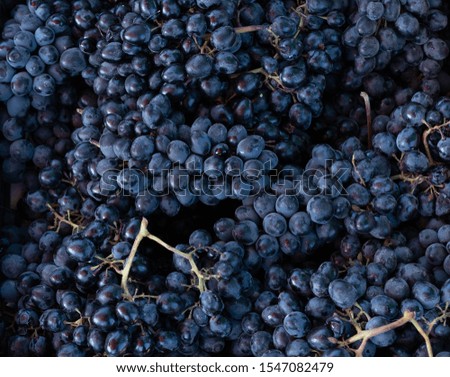 Grapes as background and texture
