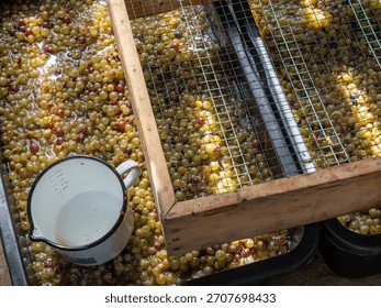 Grapes being processed in a traditional setting with a strainer and a measuring jug, showcasing winemaking or fruit processing techniques.
