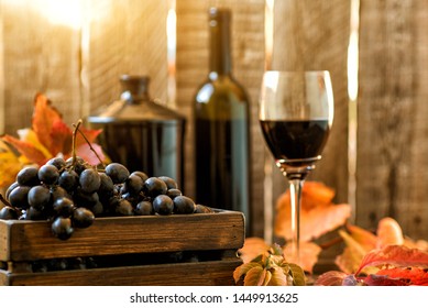 Grapes Harvest. Vintage Wooden Box With Freshly Harvested Black Grapes At Sunset In Autumn Harvest. Ripe Grapes In Fall. Wine And Ripe Grape Served For A Friendly Party In A Winery.