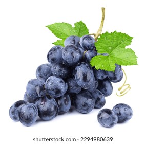 Grapes isolated. A bunch of ripe blue grapes with leaves in water drops on a white background. - Shutterstock ID 2294980639
