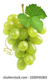 Grapes isolated. Bunch of ripe green grapes with green leaf and vine.