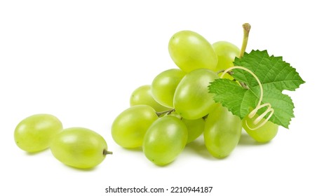 Grapes isolated. A bunch of ripe green grapes with a vine on a white background. Fresh fruits. - Powered by Shutterstock