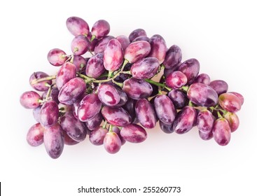 Lilac Flowers Isolated On White Background Stock Photo 277010966