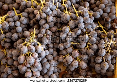 Grapes are kept in front of the shop for mass sale