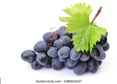 Grapes On White Background Stock Photo 1480063637 | Shutterstock