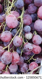 grapes in various colors