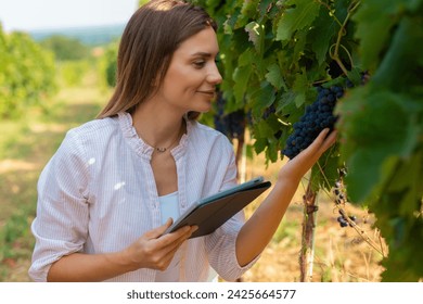 Grapes in a vineyard being checked by a female vintner. Woman using tablet to check grapes - Powered by Shutterstock