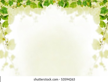 Grapevine background design