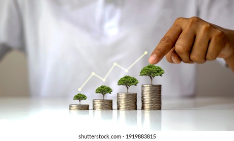 Graph Showing Tree Growth On Pile Of Money, Business Investment Ideas, Finance, And Economy.