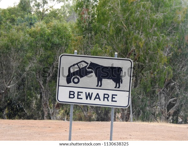 Graphic Black and White Beware\
Cattle Crossing Road Sign showing a Car bumping into a Cow on the\
Savannah Way in remote Northern Queensland,\
Australia