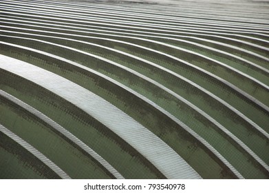 Graphic building lines