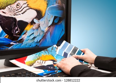 Graphic designer at work. Color samples. Blue parrot macaw bird photo - Powered by Shutterstock