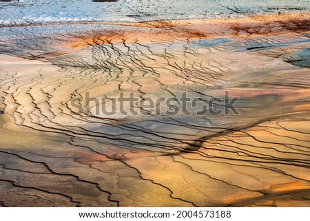 Graphic pattern in bacterial mat from elevated view, Grand Prismatic Spring, Yellowstone National Park, Montana, USA