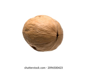 Graphic resources isolated object closed ripe walnut. Tasty diet healthy wholesome food. Volosh nut, king nut, Greek nut. An edible kernel is enclosed inside a woody shell. The fruit is a large drupes