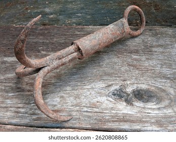 a grappling hook has several hooks that are used to catch or hook objects