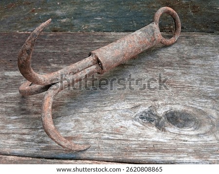 a grappling hook has several hooks that are used to catch or hook objects