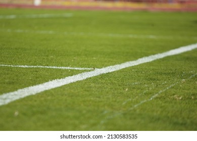 Gras Or Lawn Of A Football Stadium