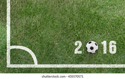 grass with 2016 painted text