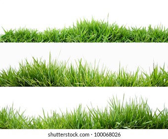 Grass - Shutterstock ID 100068026