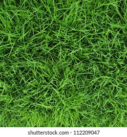 Grass - Shutterstock ID 112209047