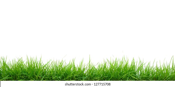 Grass - Shutterstock ID 127715708