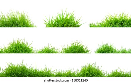 grass - Shutterstock ID 138311240