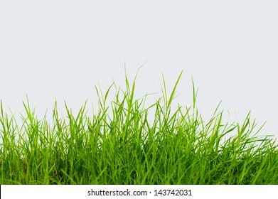 28,286 Grass cutout Images, Stock Photos & Vectors | Shutterstock