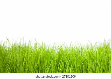 Grass Stock Photo 27101809 | Shutterstock