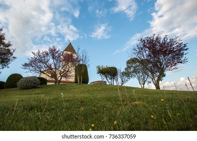 Grass